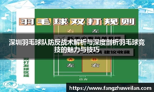深圳羽毛球队防反战术解析与深度剖析羽毛球竞技的魅力与技巧
